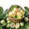 Pure Garcinia Cambogia Extract HCA Fat Burner